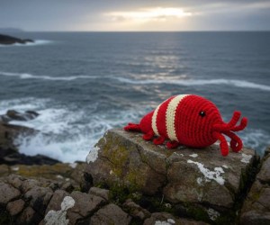 Untitled design - 2026-02-11T112444.169